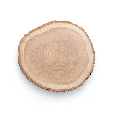 Alt du behøver at vide om brændetårne