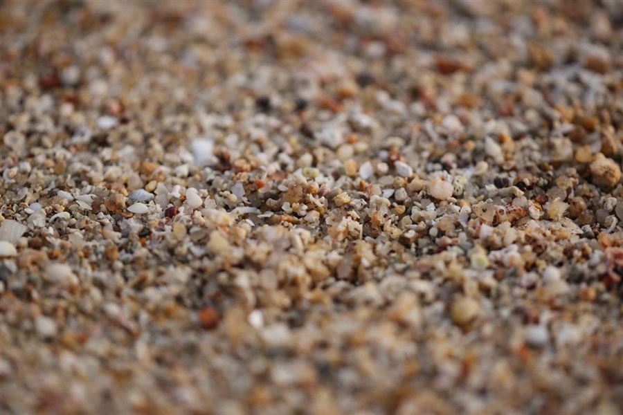 Ærtesten: Små sten med store fordele