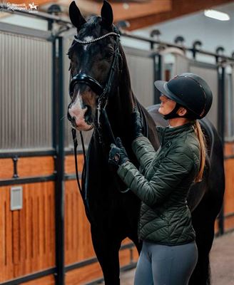 Muscle range tilbyder muskelmetabolismen