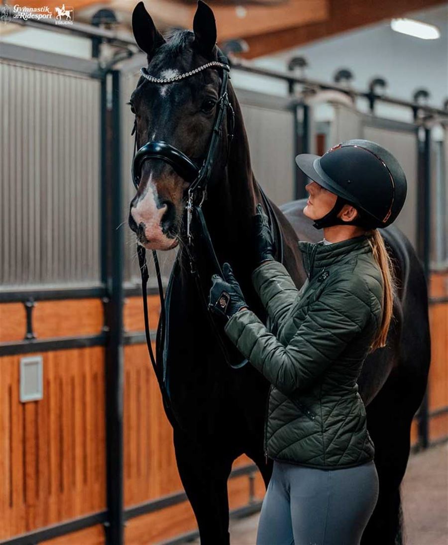 Muscle range tilbyder muskelmetabolismen